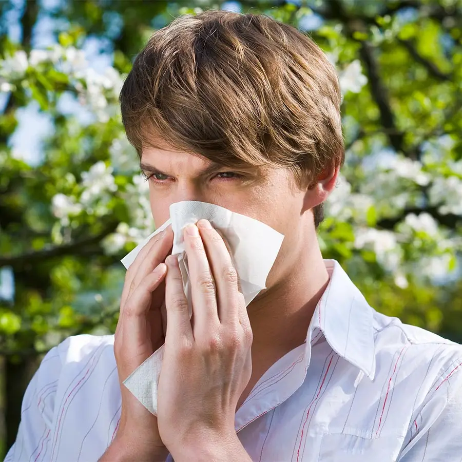 Bild mit einem Mann der Heuschnupfen / Allergie hat